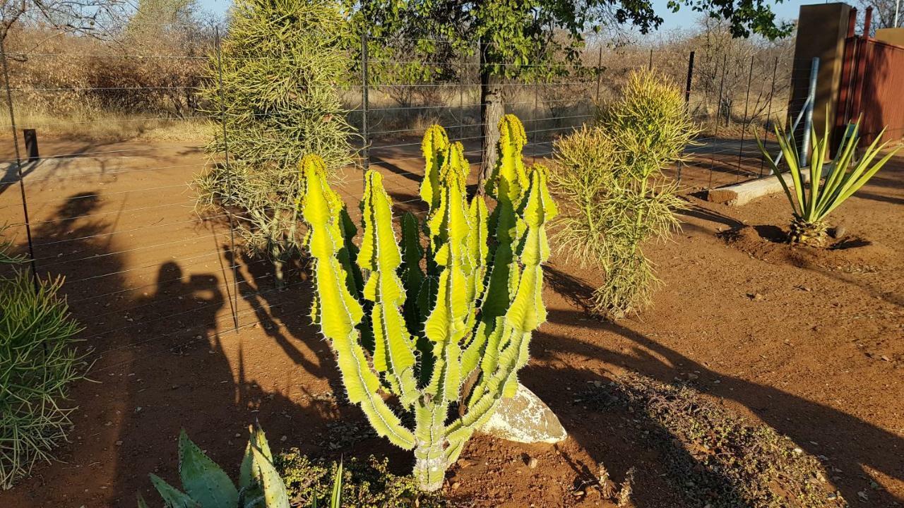 Hornbills Rest Country Home Phalaborwa Εξωτερικό φωτογραφία