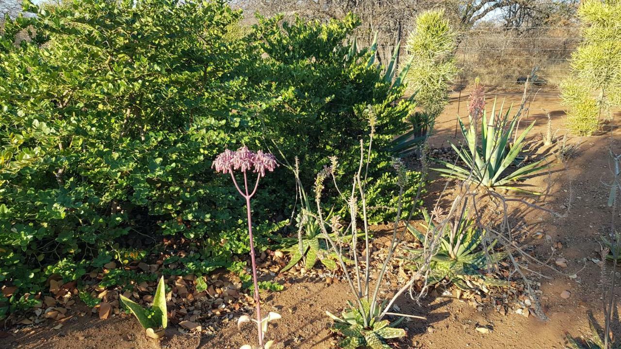 Hornbills Rest Country Home Phalaborwa Εξωτερικό φωτογραφία
